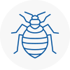 Bed Bug Extermination In Peebles