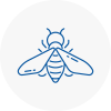Bee Nest Removal Peebles