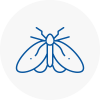 Moth Control Specialists In Peebles