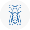 Peebles Wasp Nest Removal
